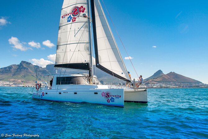 Cruise and Dine Lunch / Cape Town: Coastal Motor Cruise and 2-Course Lunch - Should you book this Cruise and Dine Lunch in Cape Town?