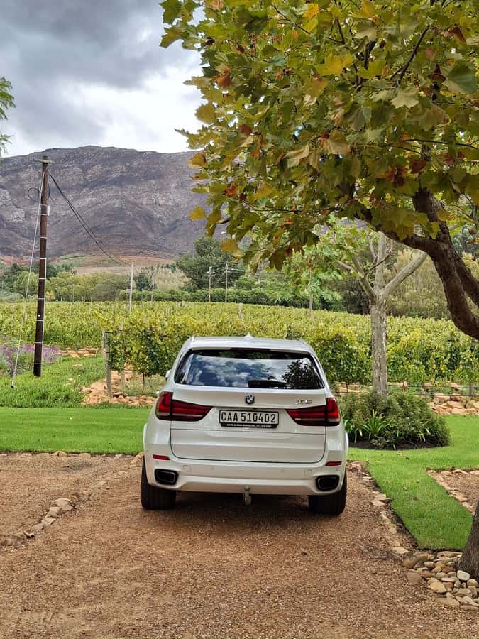 CUSTOMISED PRIVATE WINE TOUR WITH LUNCH - CAPE TOWN - Delheim: photo-friendly views and a sustainability angle