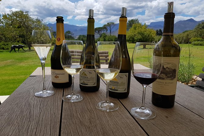 Customized Private Wine Tour - Stop 5: Meerlust for Cape Dutch architecture and an old barrel room tasting