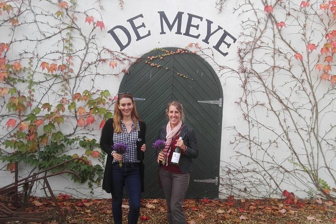 Daily Different small group WINE tour - STELLENBOSCH PICKUP only - Stop 4, Canettevallei Lavender and Wine Farm: a winemaker tasting with a backup plan