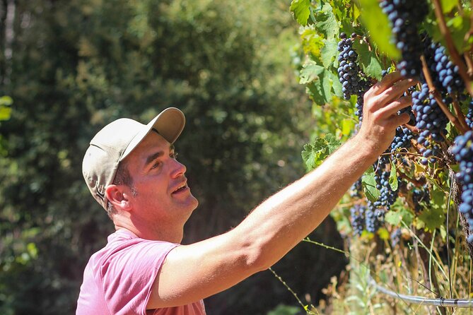 Drumstruck at Silvermist. Live African Drum Show & Wine tasting - Wine tasting with Gregory Brink Louw and four Constantia Valley pours