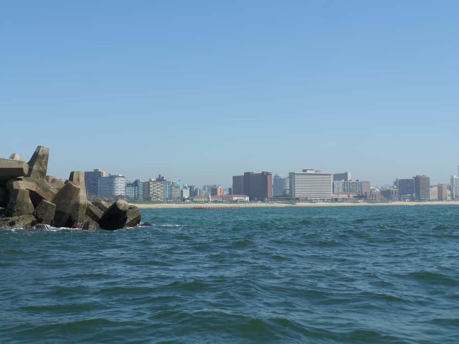 Durban: 1-Hour Boat Cruise from Wilson's Wharf - Should you book this Durban 1-hour boat cruise?