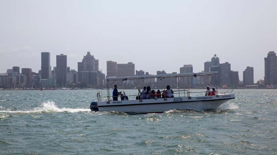 Durban: 1-Hour Boat Cruise from Wilson's Wharf - Step aboard: catamaran comfort, music, and safety briefing