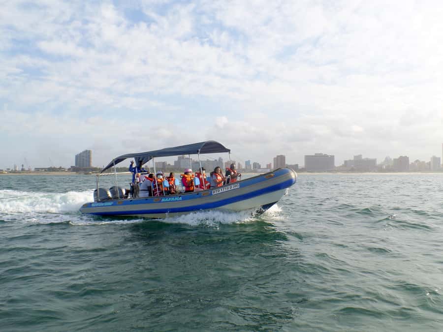 Durban: 1-Hour Boat Cruise from Wilson's Wharf - From beachfront to skyline: the photos you actually came for