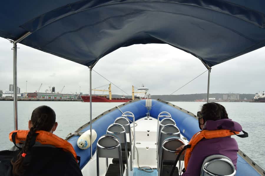 Durban: 1-Hour Boat Cruise from Wilson's Wharf - How weather changes your route, and why that is a good thing