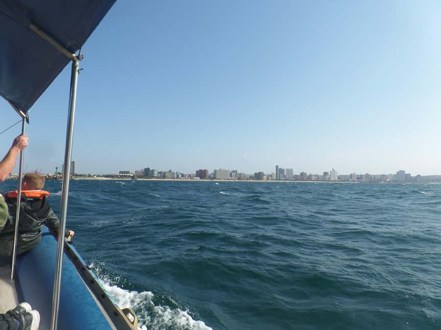 Durban: 1-Hour Boat Cruise from Wilson's Wharf - Who this cruise suits best, and who should skip it