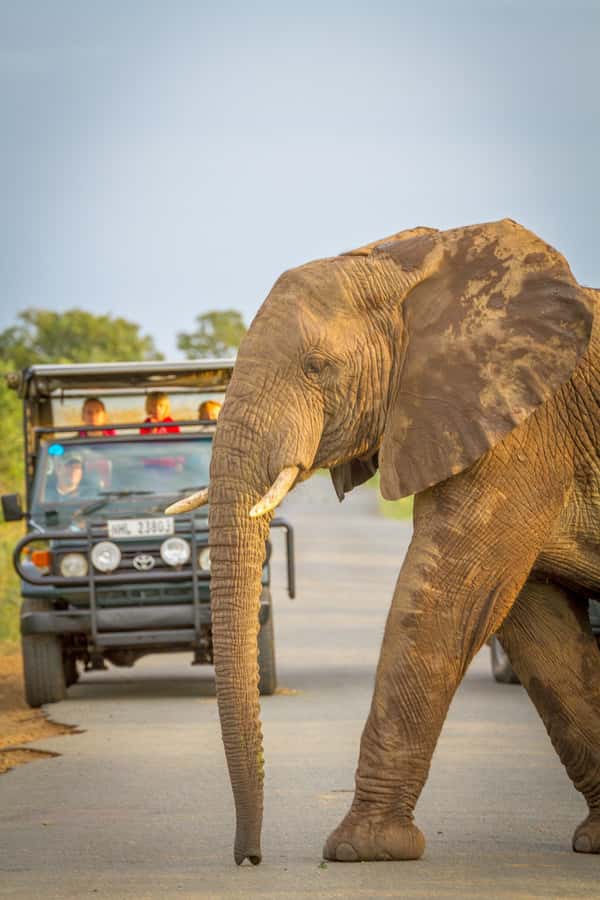 Durban:3 Day Hluhluwe-Imfolozi Park, St Lucia, iSimangaliso - Key highlights at a glance