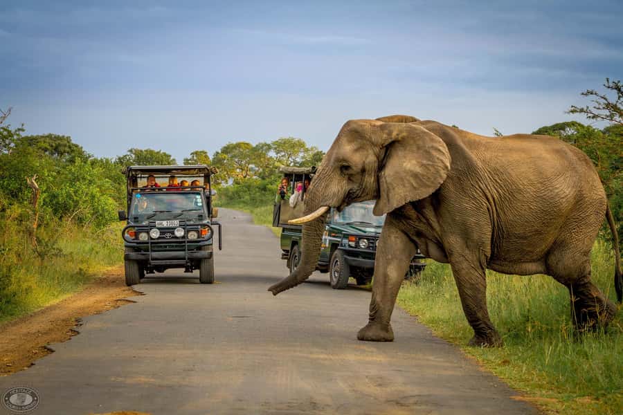 Durban:3 Day Hluhluwe-Imfolozi Park, St Lucia, iSimangaliso - St Lucia Estuary cruise: hippos, crocodiles, and real bird drama