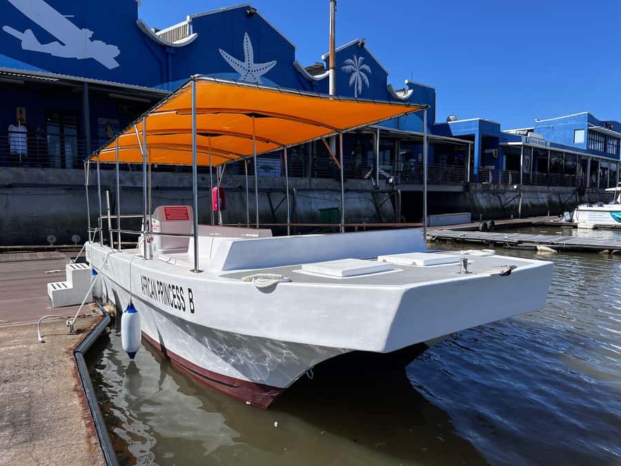 Durban: 30-Minute Harbor Boat Cruise - Families and kids: short, fun, but plan for motion