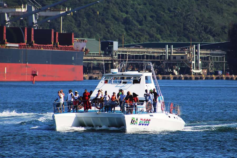 Durban: 30-Minute Harbor Boat Cruise - Tugs, huge ships, and the real art of maneuvering