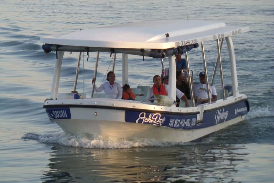 Durban: 30-Minute Harbor Boat Cruise - Birds in the harbor, bring binoculars if that’s your thing