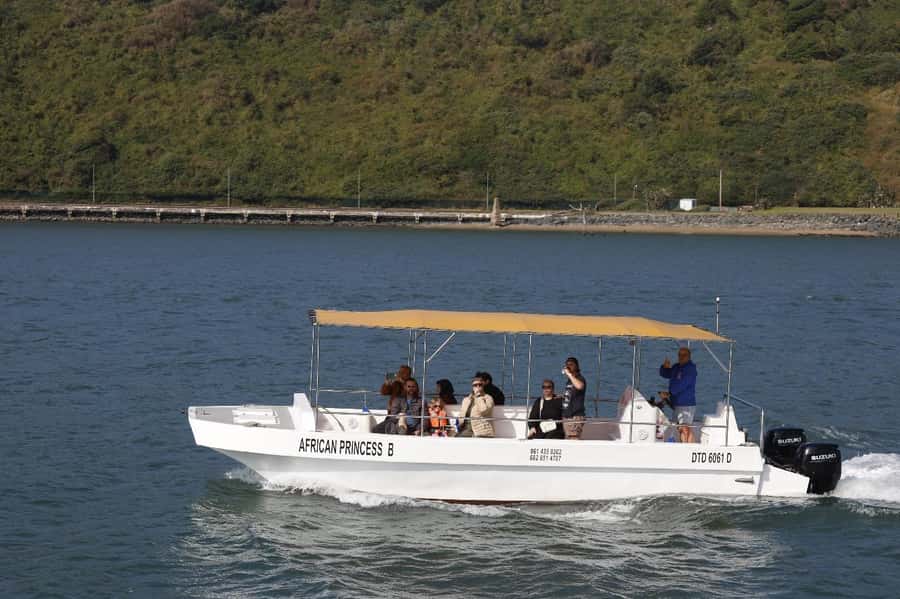 Durban: 30-Minute Harbor Boat Cruise - The narration: live English that turns sight-seeing into understanding