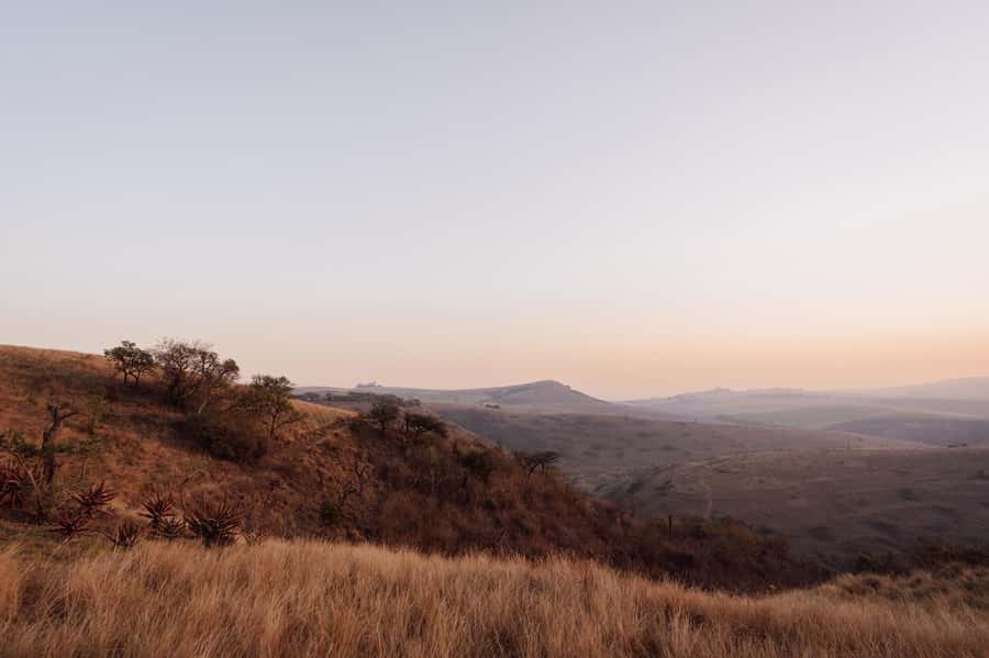 Durban: All-in-one Luxury Spa Package at Gwahumbe Game & Spa - Two-course lunch with wine or a soft drink inside the reserve