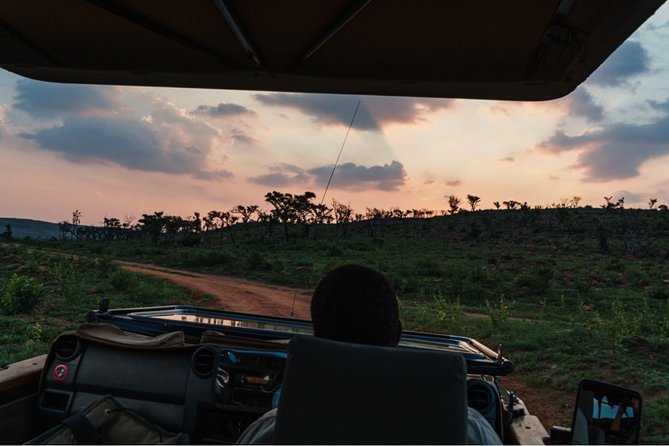 Durban: Big 5 Safari - Open Safari Vehicle at Exclusive Reserve - What happens once you’re at Manyoni: the game drive flow