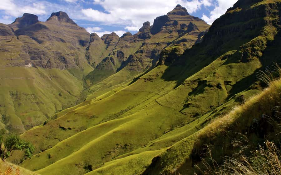 Durban: Drakensberg, Mandela Capture Site and Howick Falls - Should You Book This Durban to Drakensberg Day Trip?