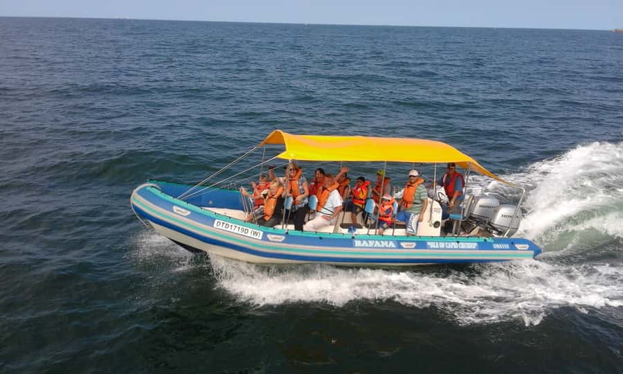 Durban: Durban: Whale and Dolphin Watching Boat Tour - Setting Out From Wilson’s Wharf Marina
