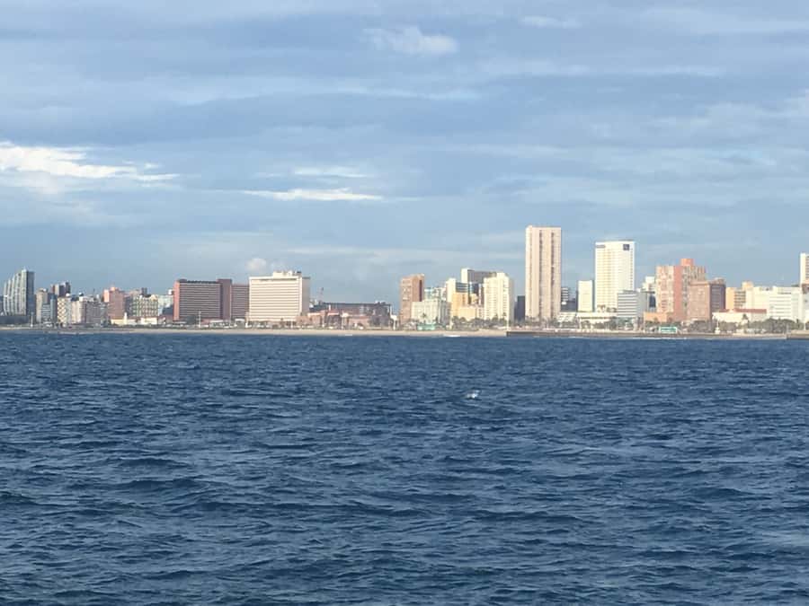 Durban: Durban: Whale and Dolphin Watching Boat Tour - The Crew and Guides: Why a Good Team Changes Everything