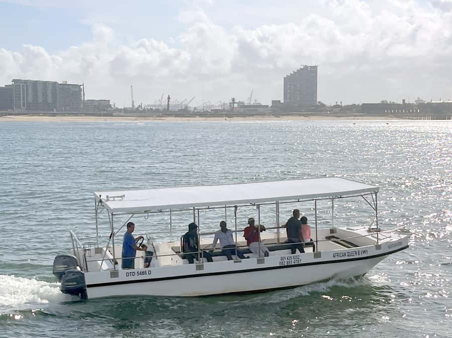 Durban: Durban: Whale and Dolphin Watching Boat Tour - Two Hours Out: What the Indian Ocean Cruise Feels Like