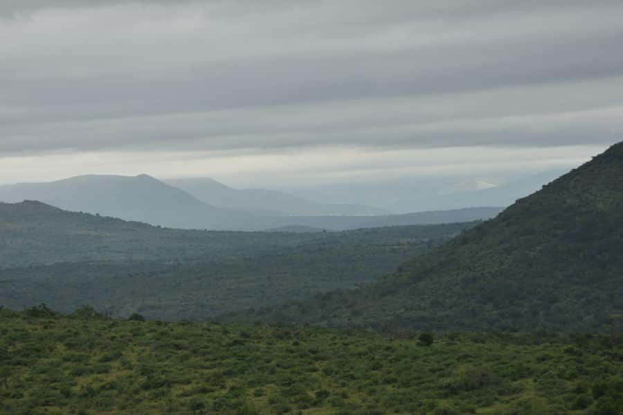 Durban: Full Day Hluhluwe-iMfolozi Game Reserve with lunch - The guide factor: why Frank’s elephant tips (and others) can change your day