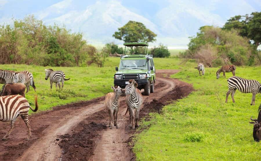 Durban: Half Day Phezulu Safari Park and Durban City Tour - Key highlights to look for