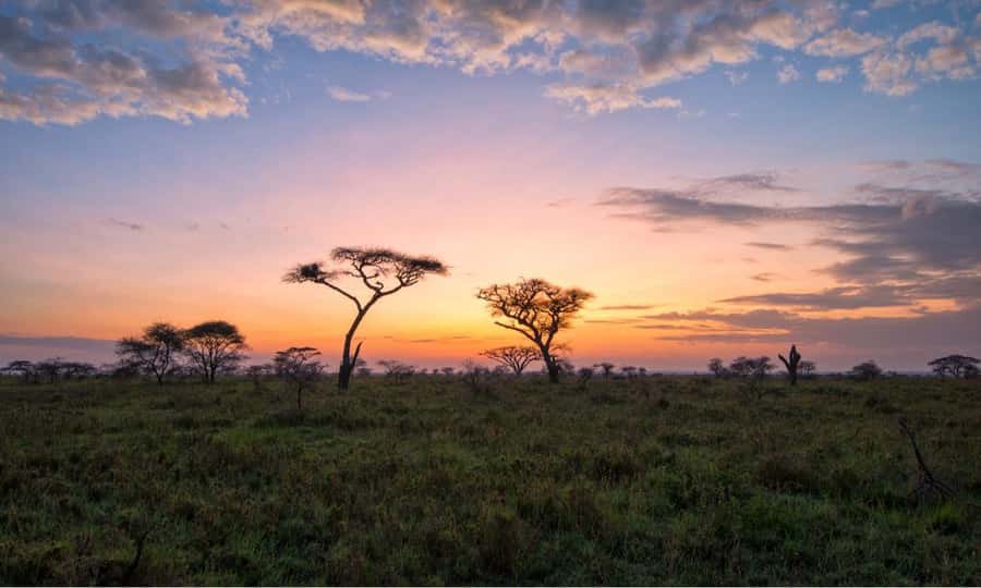 Durban: Hluhluwe Big 5 Safari with Pro Zeiss Binoculars - Imfolozi side first: open plains, rhino and elephant focus