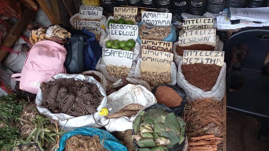 Durban: Local Markets and Culture Guided Walking Tour - Meeting in Morningside, then getting Durban’s lay of the land