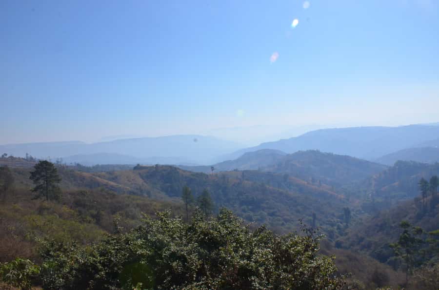 Durban: Phezulu Cultural Village & Reptile Park Tour - Durban to the Valley of a Thousand Hills, the easy way