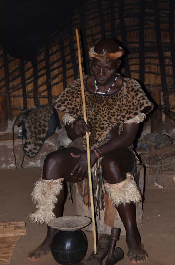 Durban: Phezulu Cultural Village & Reptile Park Tour - Timing, comfort, and how a half-day stays enjoyable