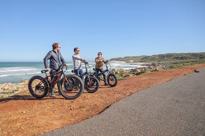 E-Bike Cape Peninsula tour - The ride experience: e-bikes, helmets, and a real backup plan