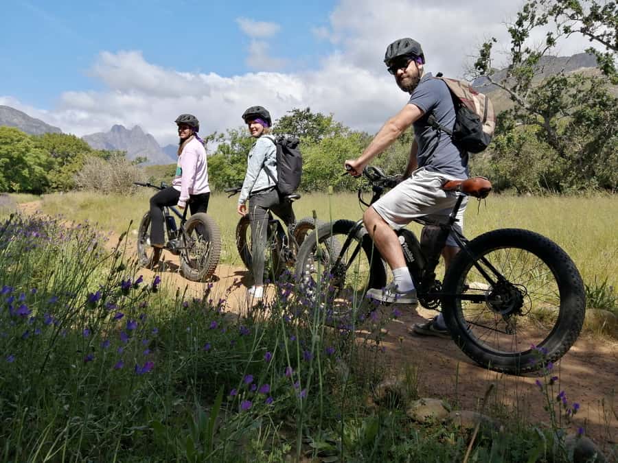 E-Bike & Hike Jonkershoek - Why this half-day feels like a real escape from Stellenbosch