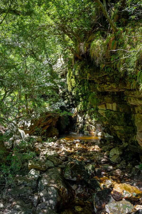 E-Bike & Hike Jonkershoek - The second hiking stretch and the return ride via Jonkershoek Road