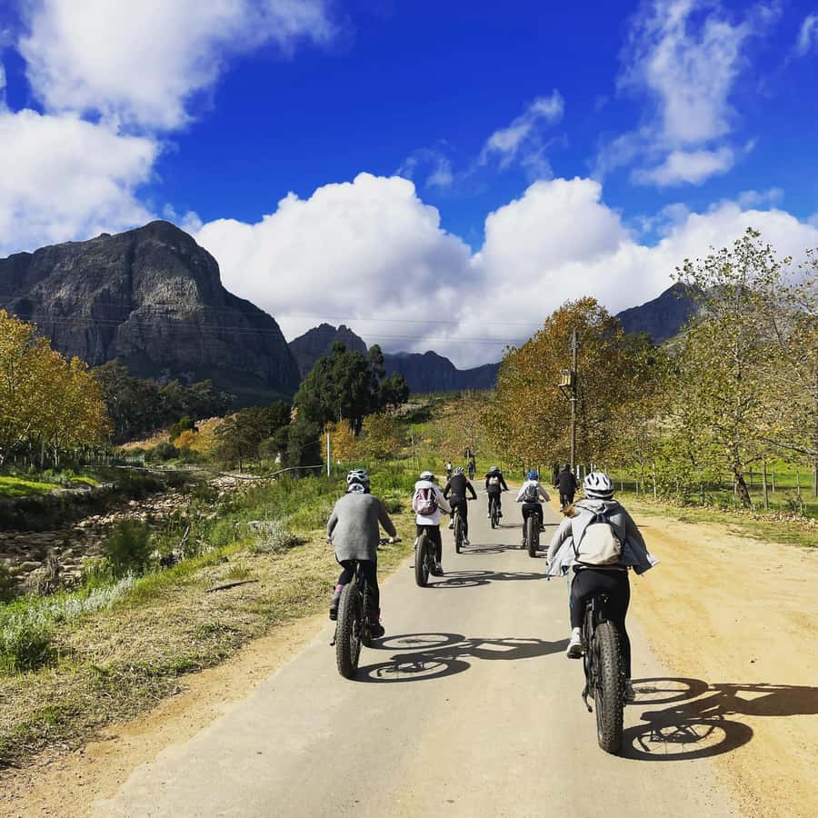 E-Bike Stellenbosch Winelands - Full Day Private Tour - Key highlights worth planning for