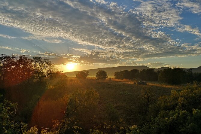Early Morning Balloon Safari with Breakfast from Magaliesburg - Should you book this early morning balloon safari?