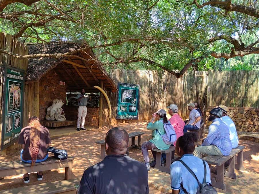 Elephant & Monkey Santuary with Lion Park Tour - Key things worth knowing before you go