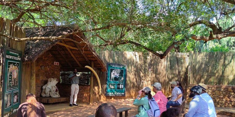 Elephant & Monkey Santuary with Lion Park Tour - The long van ride, lunch stop, and keeping energy up