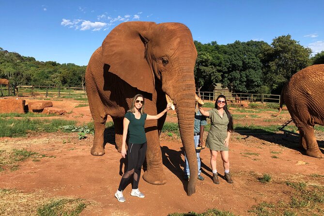 Elephant Sanctuary Tour from Johannesburg - Feeding elephants: the hands-on part that also teaches you