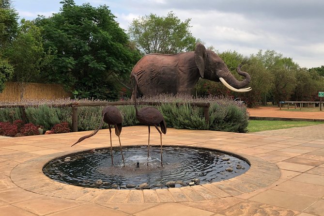 Elephant Sanctuary Tour from Johannesburg - Time, transport, and value at $245 per person