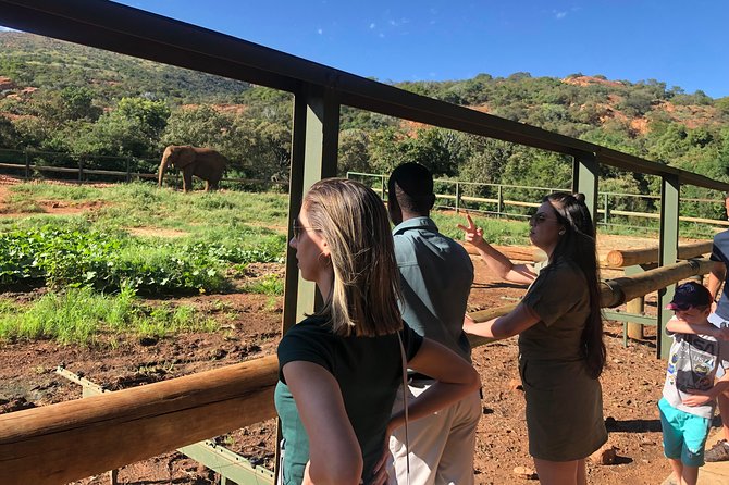 Elephant Sanctuary Tour from Johannesburg - Who this elephant sanctuary tour is best for