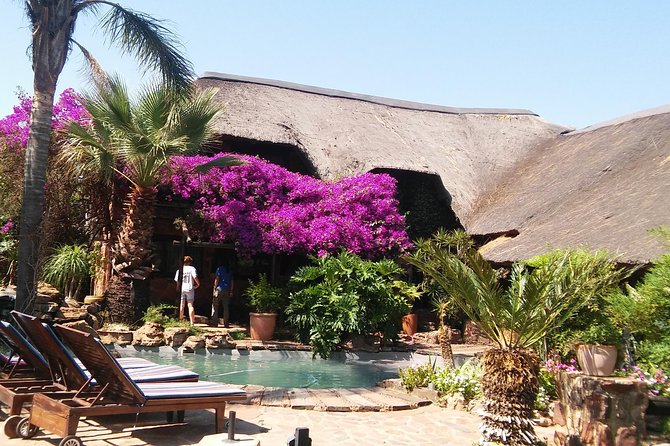Elephant Walk Guided Half Day Tour from Johannesburg - Price, value, and why the included fees matter