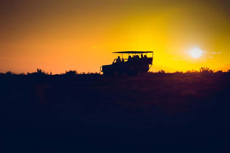 Evening Pilanesberg Safari Tour from Sun City - How to prepare for an open-vehicle dusk drive