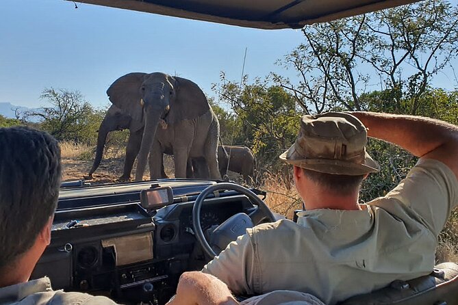 Exclusive Morning Game Drive Safari near Hoedspruit - The waterhole pause with Drakensberg views