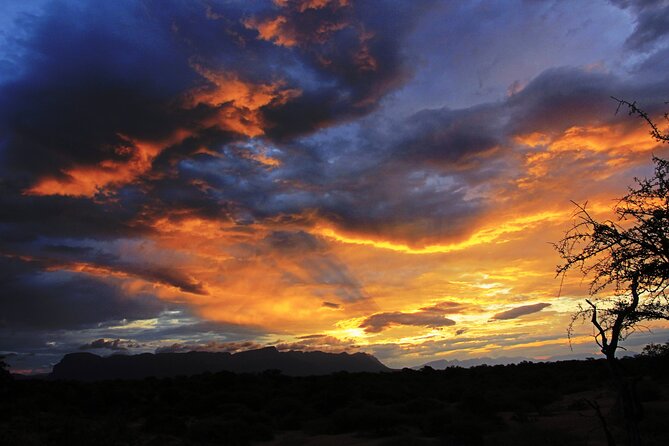 Exclusive Sunset Game Drive Safari near Hoedspruit - Key things to know before you go