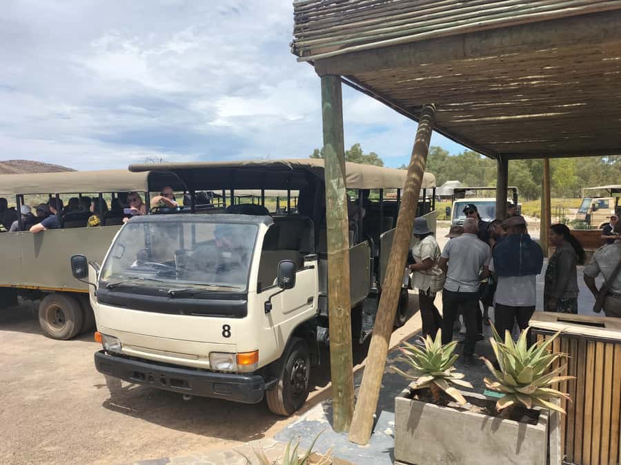 Experience an Amazing Big5 Safari near Cape Town! - Should You Book This Big Five Day Trip?
