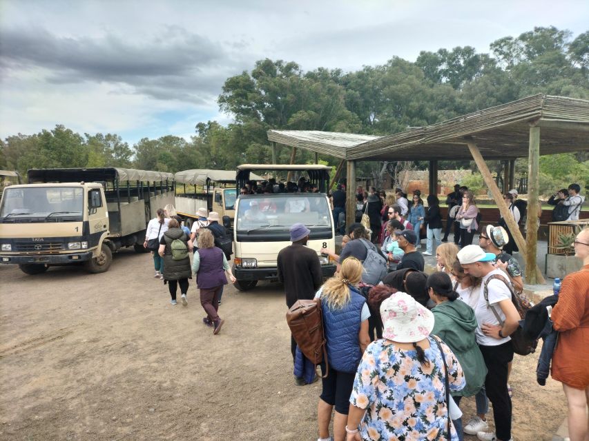 Experience an Amazing Big5 Safari near Cape Town! - Meals, Comfort, and the Pace of a 9-Hour Day