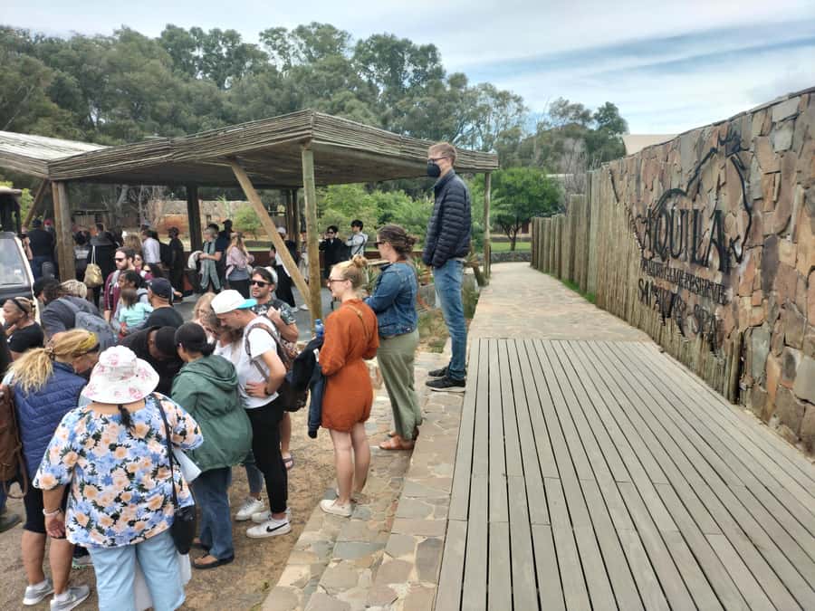 Experience an Amazing Big5 Safari near Cape Town! - Who Should Book, and Who Should Be Careful