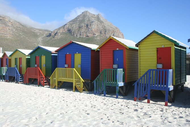 Explore Cape of Good Hope and Boulders Beach: Private Tour - Boulders Beach Penguin Colony: how to make the most of your hour