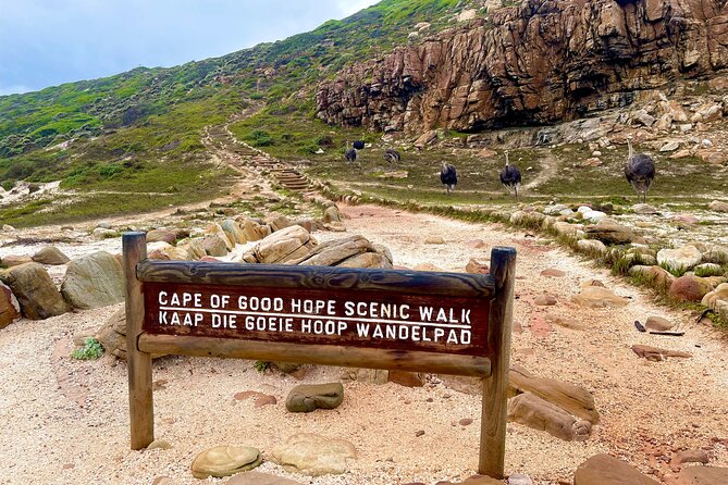 Explore Cape of Good Hope and Boulders Beach: Private Tour - Simon’s Town lunch break: choose your own style