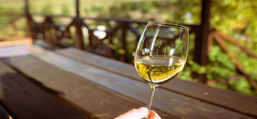 Explore Table Mountain, Kirstenbosch, & Constantia wineries. - A Private Cape Town Loop: Table Mountain, Kirstenbosch, Constantia