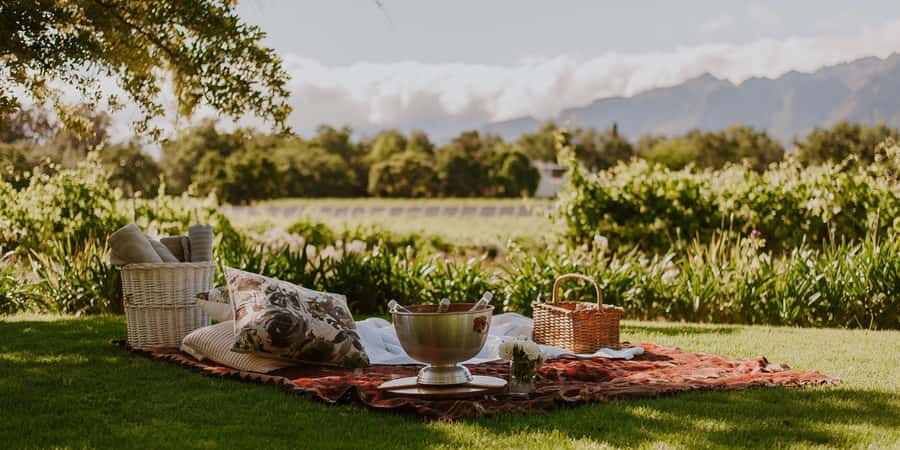 Explore Table Mountain, Kirstenbosch, & Constantia wineries. - Summit Views, 360 Degrees: What to Look For at the Top