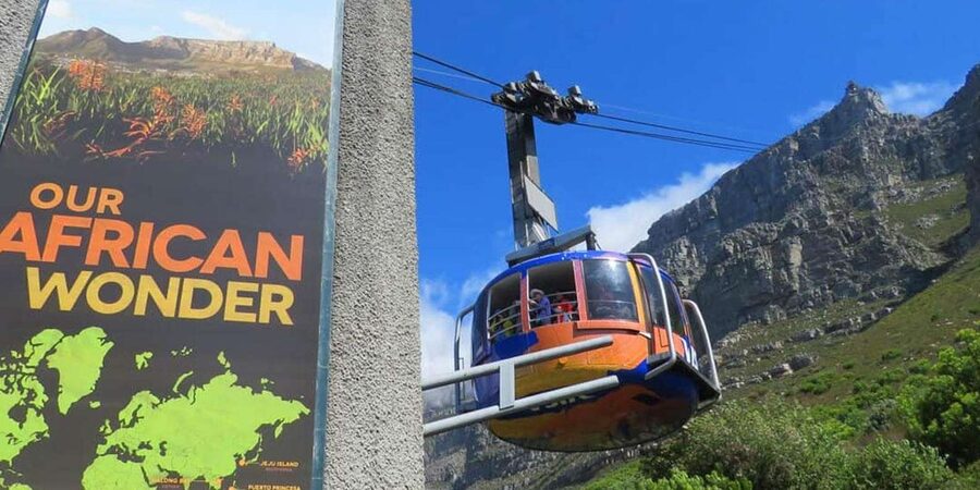 Explore Table Mountain, Kirstenbosch, & Constantia wineries. - Constantia Wineries: Tastings, Cellars, and Time for Shopping